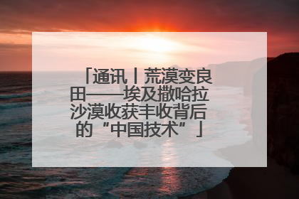 通讯丨荒漠变良田——埃及撒哈拉沙漠收获丰收背后的“中国技术”