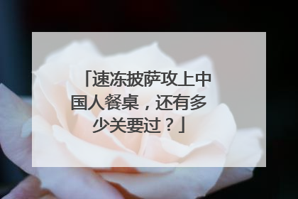 速冻披萨攻上中国人餐桌，还有多少关要过？