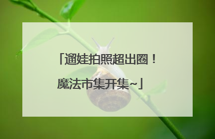 遛娃拍照超出圈！魔法市集开集~