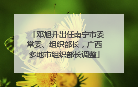 邓旭升出任南宁市委常委、组织部长，广西多地市组织部长调整