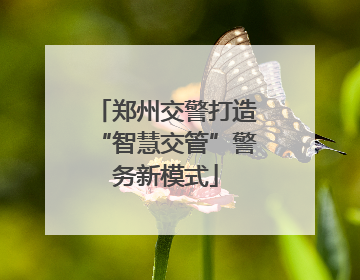 郑州交警打造“智慧交管”警务新模式