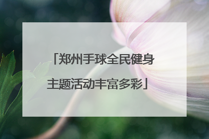 郑州手球全民健身主题活动丰富多彩