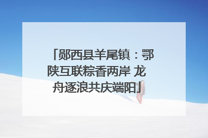 郧西县羊尾镇：鄂陕互联粽香两岸 龙舟逐浪共庆端阳
