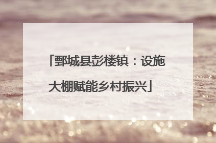 鄄城县彭楼镇：设施大棚赋能乡村振兴