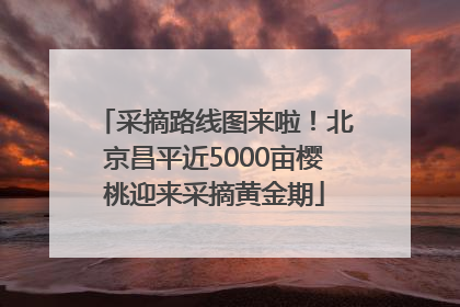 采摘路线图来啦！北京昌平近5000亩樱桃迎来采摘黄金期