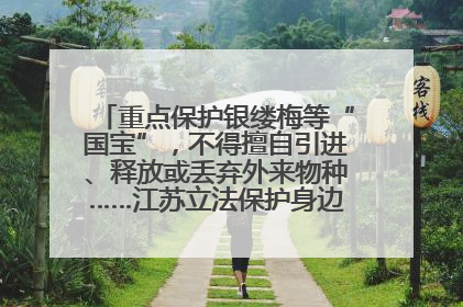 重点保护银缕梅等“国宝”，不得擅自引进、释放或丢弃外来物种……江苏立法保护身边的生物“朋友圈”