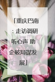 重庆巴南：走访调研听心声 助企破局谋发展