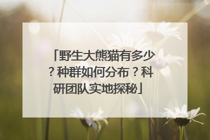 野生大熊猫有多少？种群如何分布？科研团队实地探秘