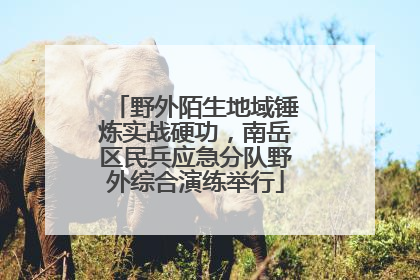 野外陌生地域锤炼实战硬功，南岳区民兵应急分队野外综合演练举行