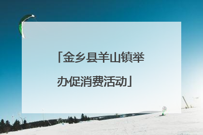 金乡县羊山镇举办促消费活动