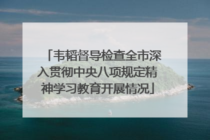 韦韬督导检查全市深入贯彻中央八项规定精神学习教育开展情况
