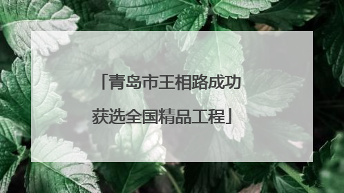 青岛市王相路成功获选全国精品工程