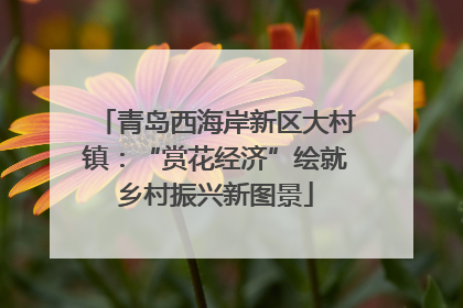 青岛西海岸新区大村镇：“赏花经济”绘就乡村振兴新图景