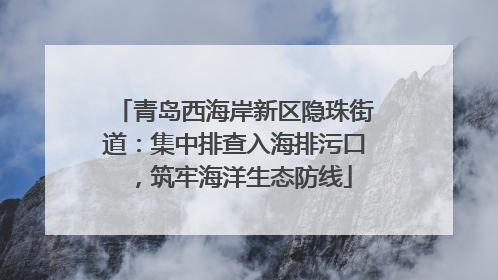 青岛西海岸新区隐珠街道：集中排查入海排污口，筑牢海洋生态防线