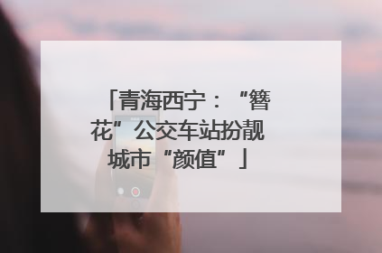 青海西宁：“簪花”公交车站扮靓城市“颜值”