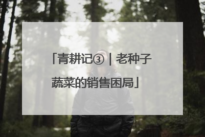 青耕记③｜老种子蔬菜的销售困局