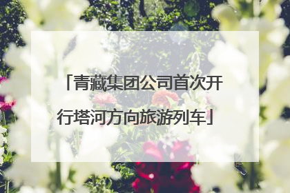 青藏集团公司首次开行塔河方向旅游列车