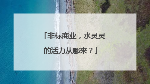 非标商业，水灵灵的活力从哪来？