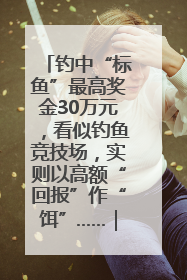 钓中“标鱼”最高奖金30万元，看似钓鱼竞技场，实则以高额“回报”作“饵”……｜今晚九点半