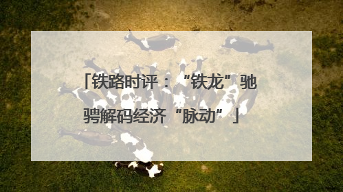 铁路时评：“铁龙”驰骋解码经济“脉动”