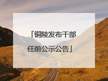 铜陵发布干部任前公示公告