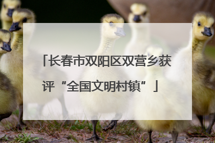 长春市双阳区双营乡获评“全国文明村镇”