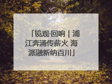 镜观·回响｜浦江奔涌传薪火 海派融新纳百川