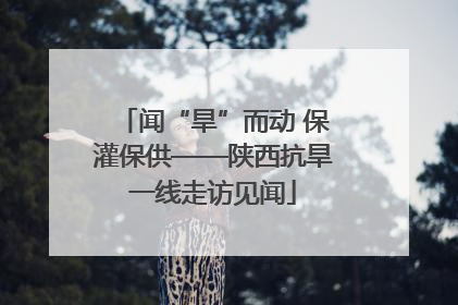 闻“旱”而动 保灌保供——陕西抗旱一线走访见闻