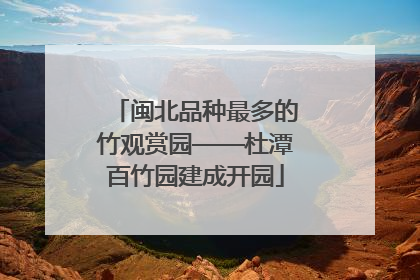 闽北品种最多的竹观赏园——杜潭百竹园建成开园