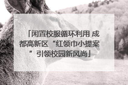 闲置校服循环利用 成都高新区“红领巾小提案”引领校园新风尚