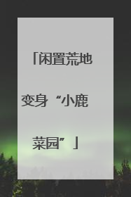 闲置荒地变身“小鹿菜园”