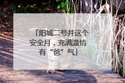 阳城二号井这个安全月，充满温情有“爸”气