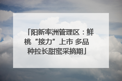 阳新率洲管理区：鲜桃“接力”上市 多品种拉长甜蜜采摘期