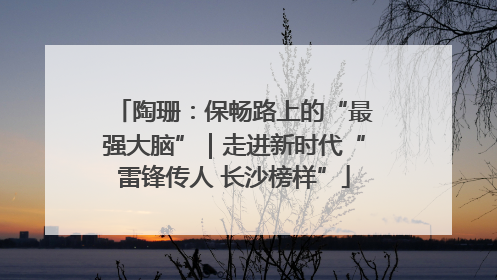 陶珊：保畅路上的“最强大脑”｜走进新时代“雷锋传人 长沙榜样”