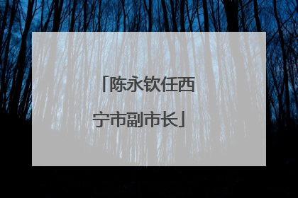 陈永钦任西宁市副市长
