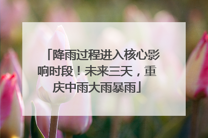 降雨过程进入核心影响时段！未来三天，重庆中雨大雨暴雨