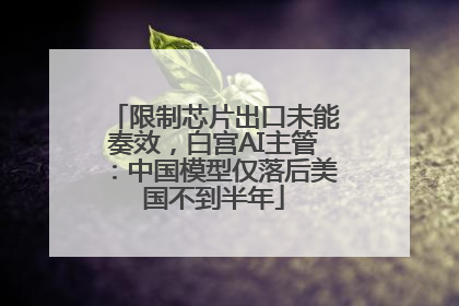 限制芯片出口未能奏效，白宫AI主管：中国模型仅落后美国不到半年