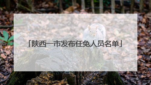 陕西一市发布任免人员名单