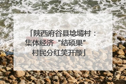 陕西府谷县埝墕村：集体经济“结硕果” 村民分红笑开颜