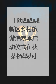 陕西西咸新区乡村旅游消费季启动仪式在茯茶镇举办