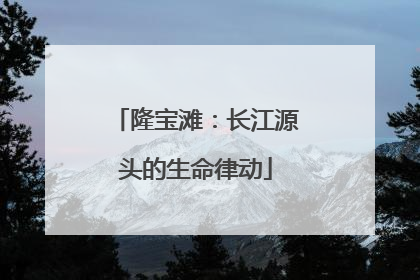 隆宝滩：长江源头的生命律动