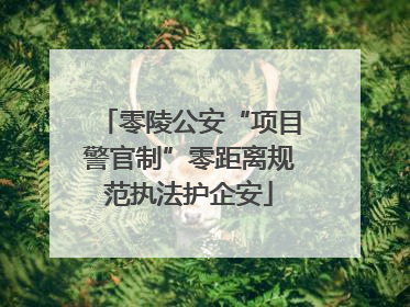 零陵公安“项目警官制”零距离规范执法护企安