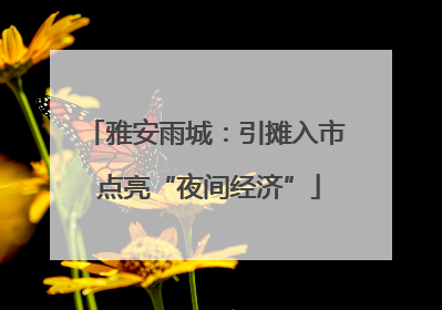雅安雨城：引摊入市 点亮“夜间经济”