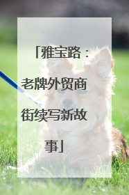 雅宝路：老牌外贸商街续写新故事