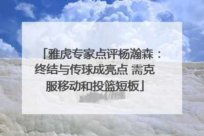 雅虎专家点评杨瀚森：终结与传球成亮点 需克服移动和投篮短板