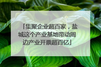 集聚企业超百家，盐城这个产业基地带动周边产业开票超百亿