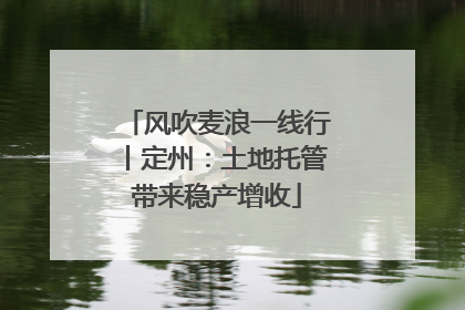 风吹麦浪一线行丨定州：土地托管带来稳产增收