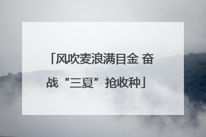 风吹麦浪满目金 奋战“三夏”抢收种