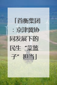 首衡集团：京津冀协同发展下的民生“菜篮子”担当