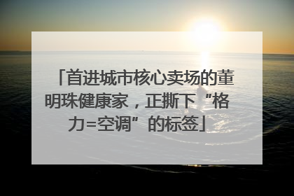 首进城市核心卖场的董明珠健康家，正撕下“格力=空调”的标签